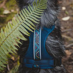 Wilderdog Harness - Pacific Blue