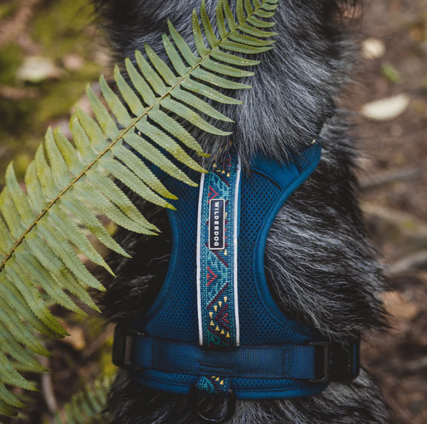 Wilderdog Dog Backpack Pacific Blue / Medium