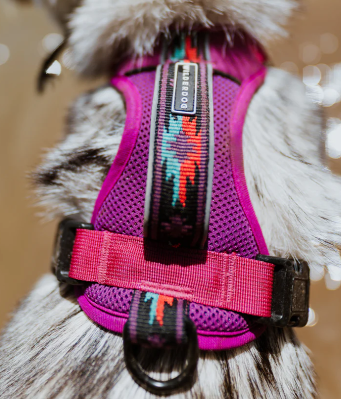 
            
                Load image into Gallery viewer, Wilderdog Harness - Berry
            
        