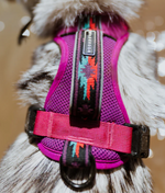 Wilderdog Harness - Berry