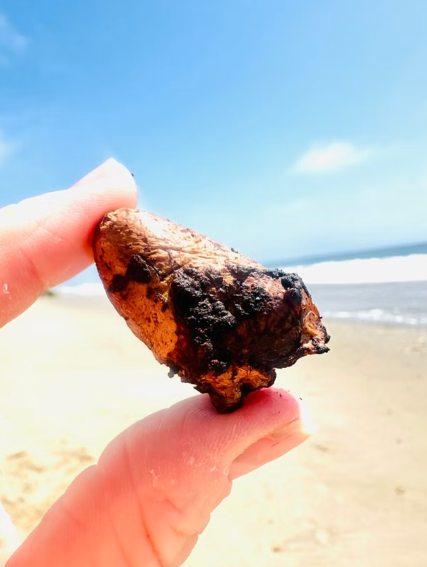 Fur Monster Goodies- Freeze Dried Chicken Hearts