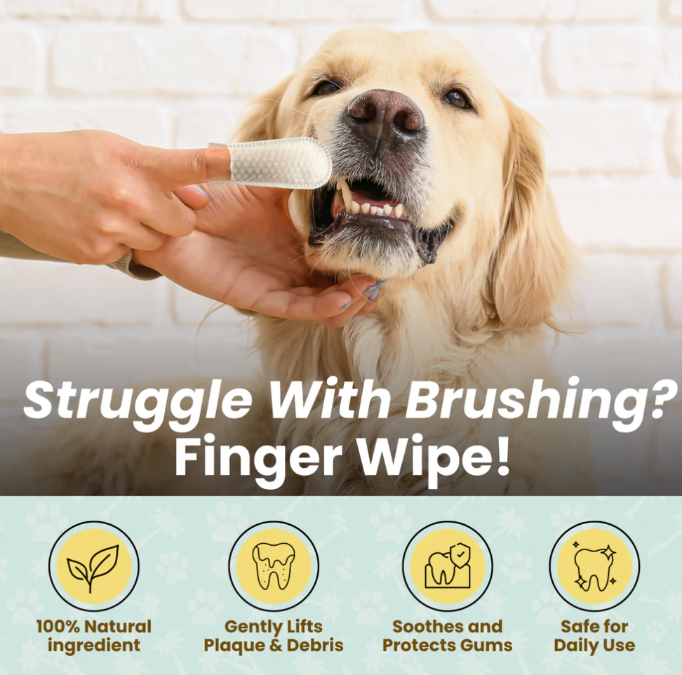 Cocopup- Wipes For Teeth, Fur, Skin, Paws, Nose, and Ears