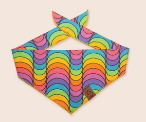 Groovy Rainbow Printed Dog Bandana // Sustainable // 100% Cotton // Tie On // Slim Fitted