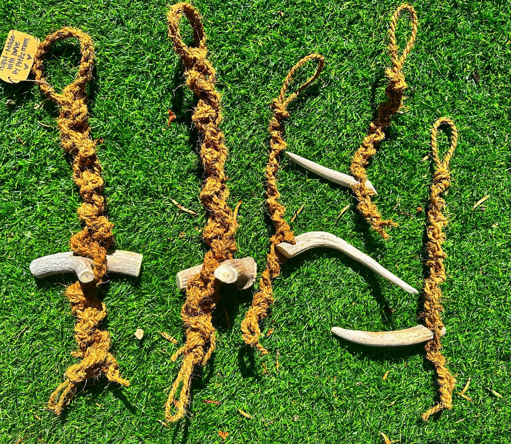 Coconut Husk interactive Tug Rope with Deer Antler