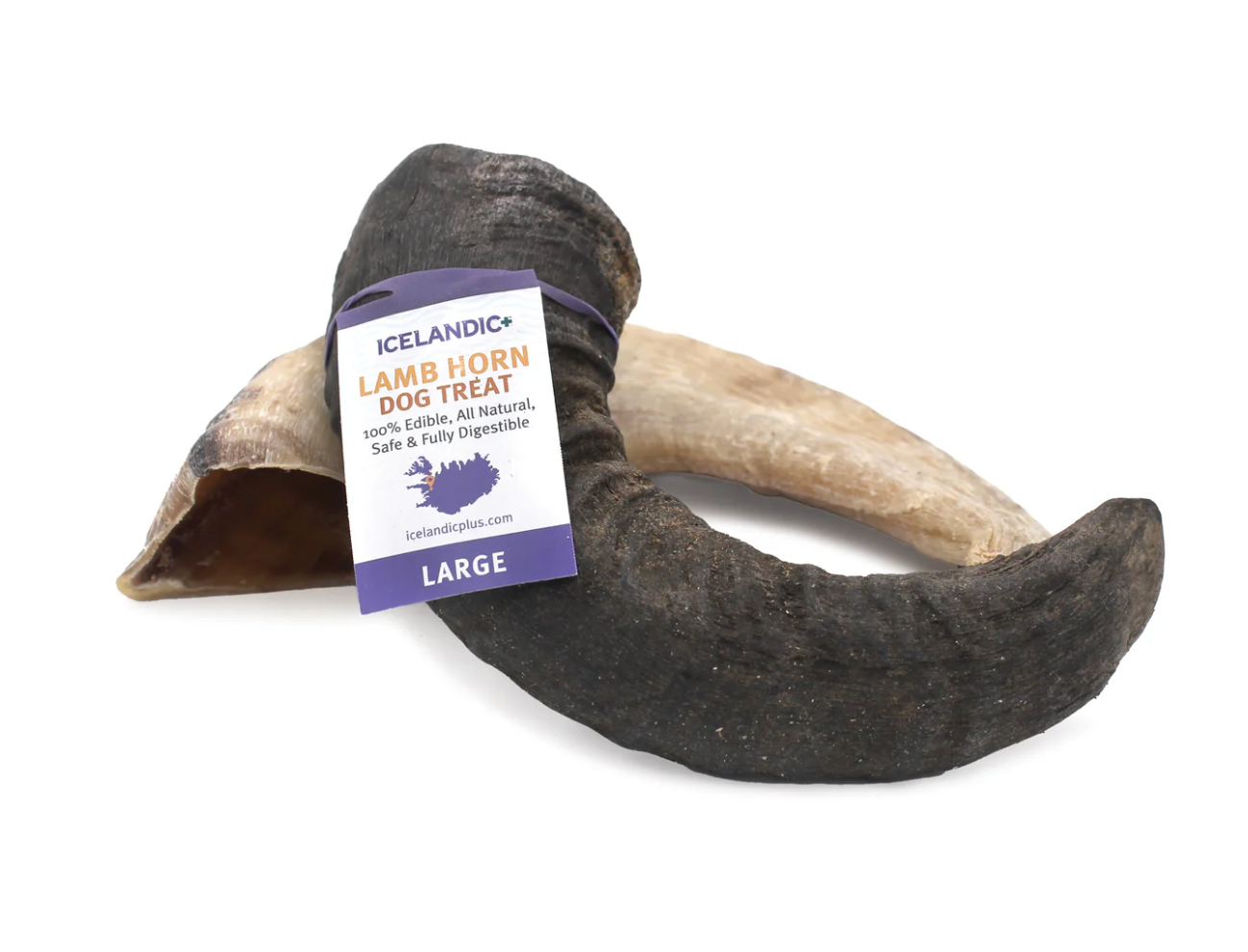 Icelandic Lg Lamb Horn "Chew Bar"