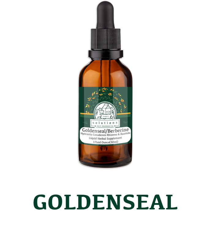 Solutions Pet Products | Goldenseal 1 oz tincture