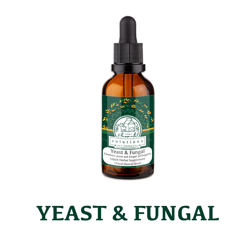 Solutions Pet Products | Yeast and Fungal 1 oz tincture