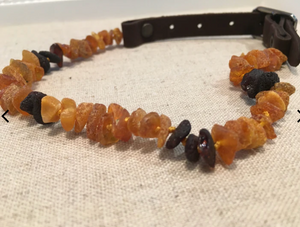 Natural Baltic Amber Collars (flea and tick prevention)