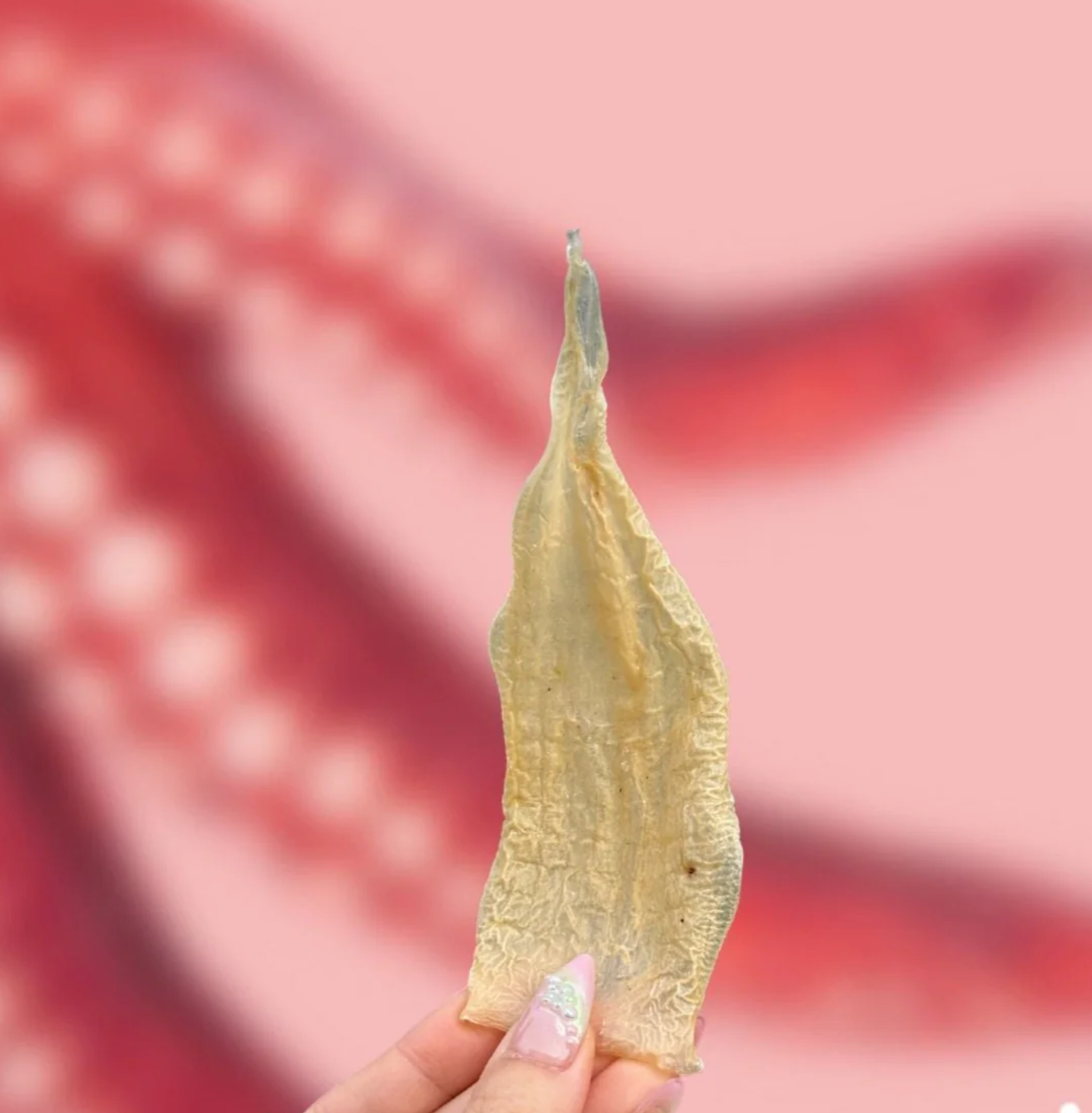Wulf Snacks Squid Chews