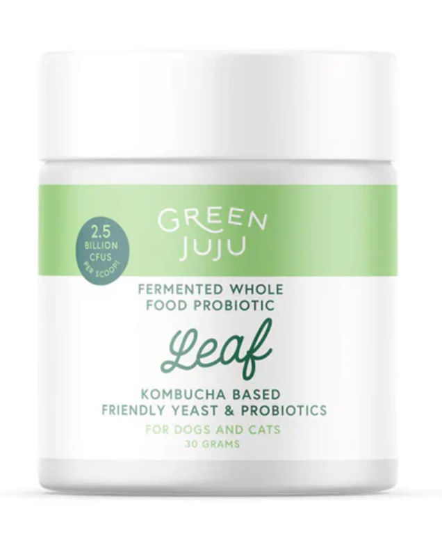 Green Juju | Leaf Fermented, Kombucha-Based Probiotic