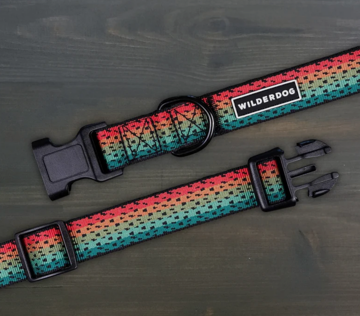 Wilderdog | Trout Ultralight Collar