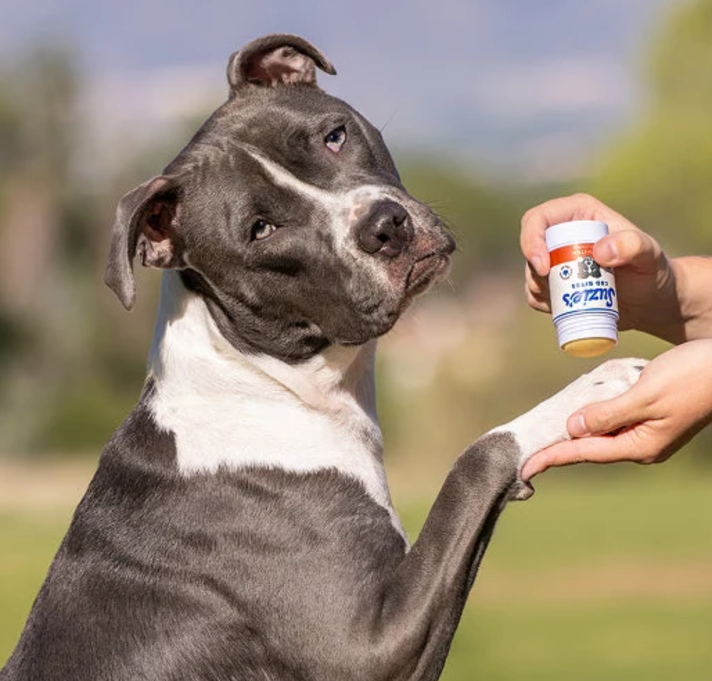 Suzie's | Anti-Itch Stick