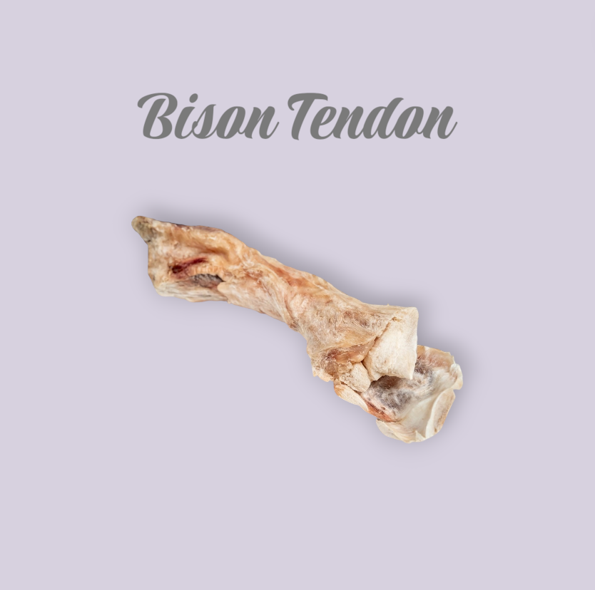 Bison Tendon