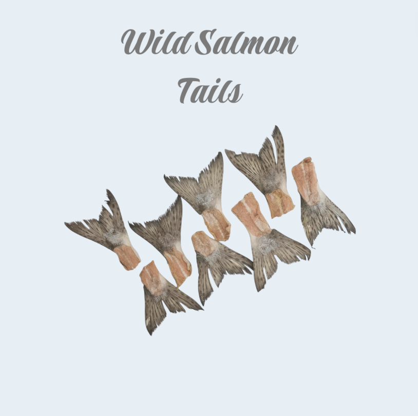 Wild Salmon Tail