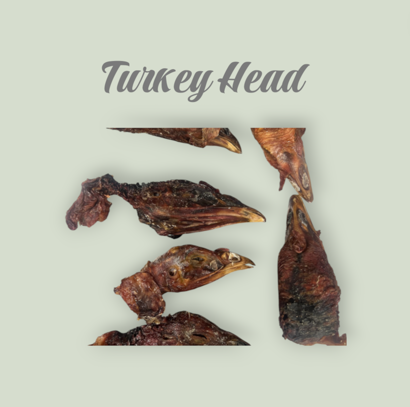 Turkey Head