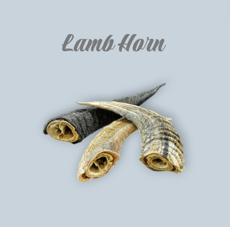 Lamb Horn (Small, Large)