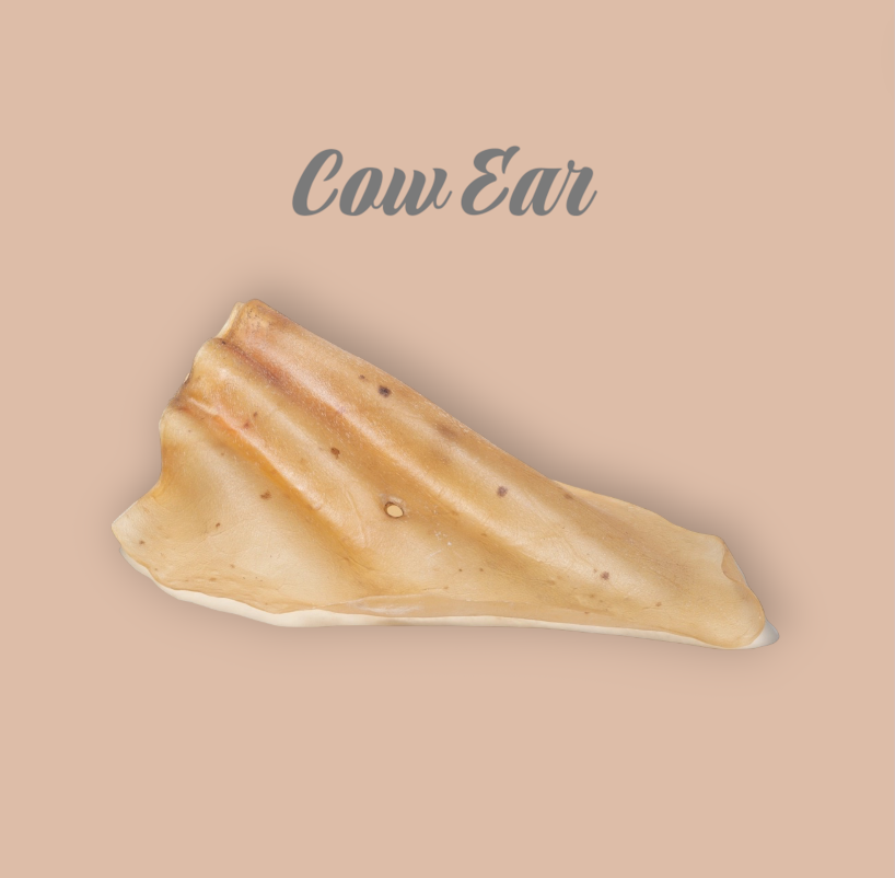 Cow Ear