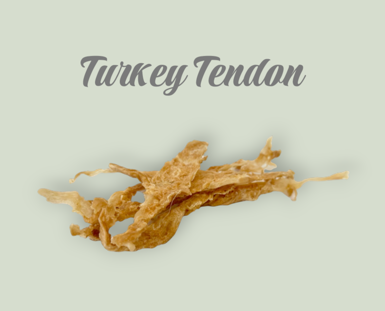 Turkey Tendon