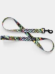 Leeds Dog Supply - Bodhi Leash 6ft