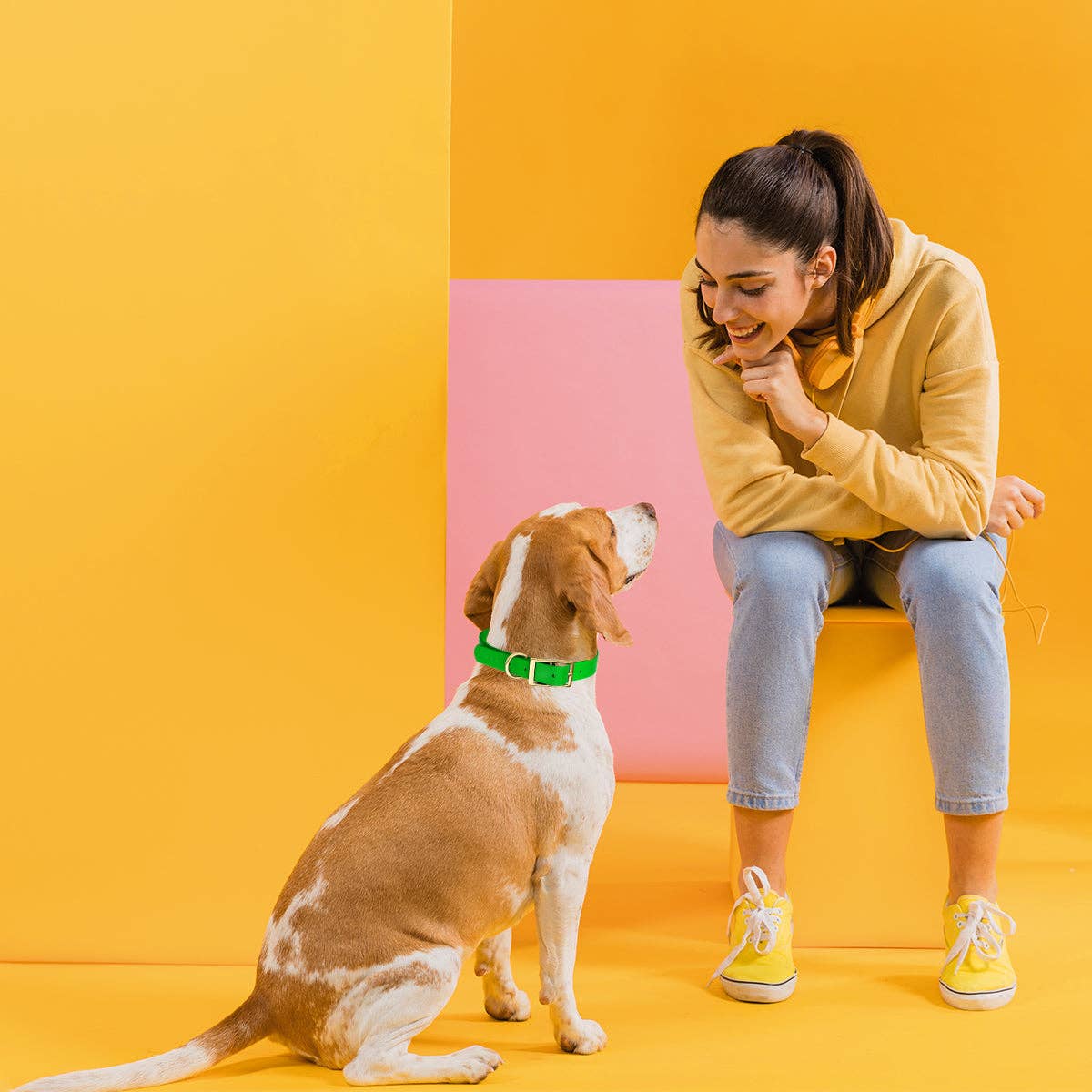 Dogline - Viper Biothane Waterproof Collar - Brass Hardware: Neon Yellow / 18"-22" / 1"