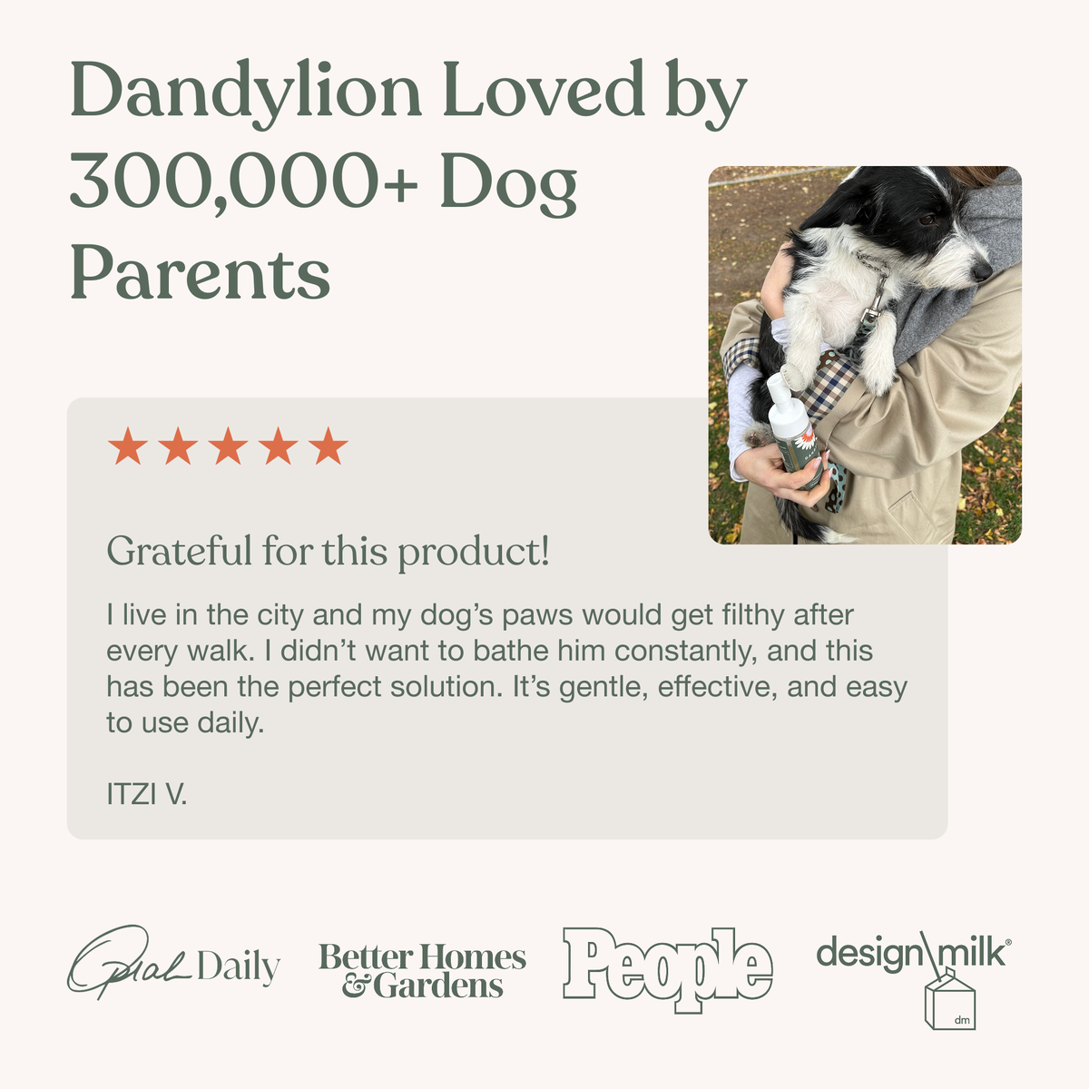 Dandylion | Clean Paws No-Rinse Foaming Cleanser (5 oz)