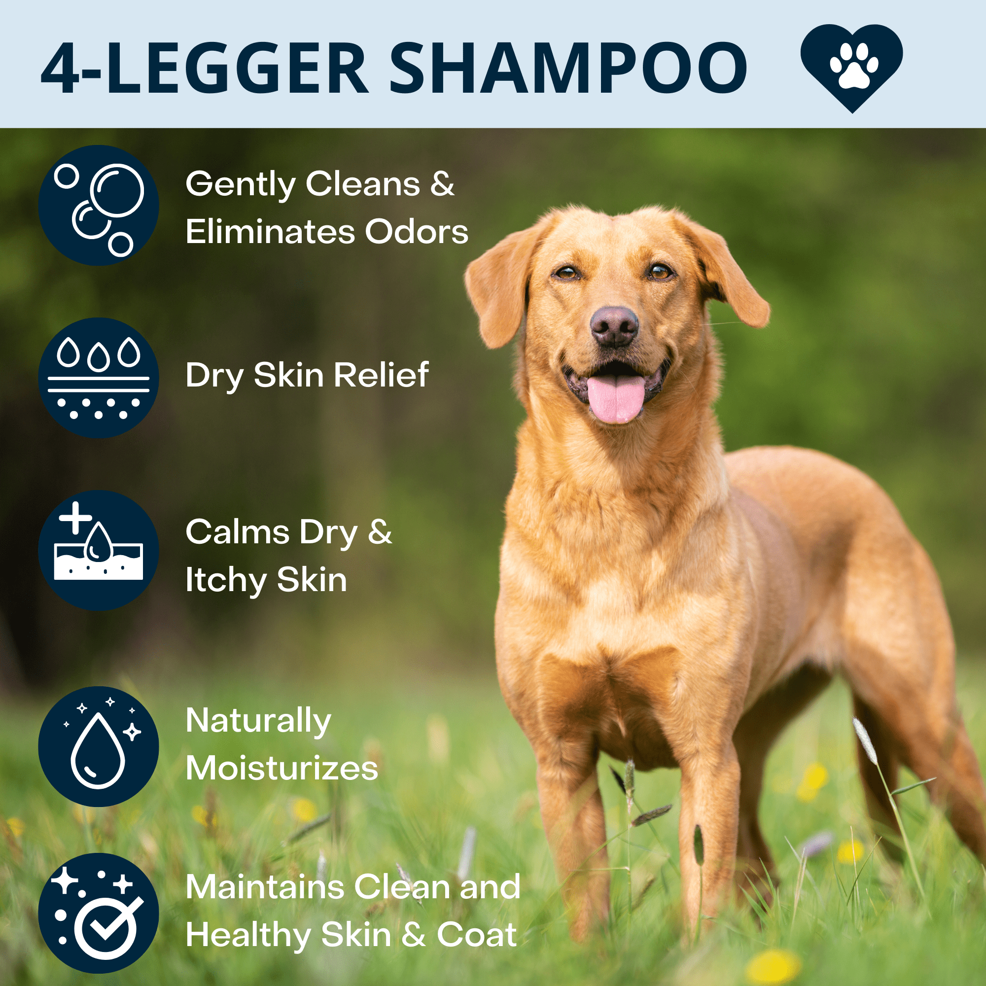 4-Legger - CALM Organic Lavender Natural Dog Shampoo with Calendula: 16 oz bottle