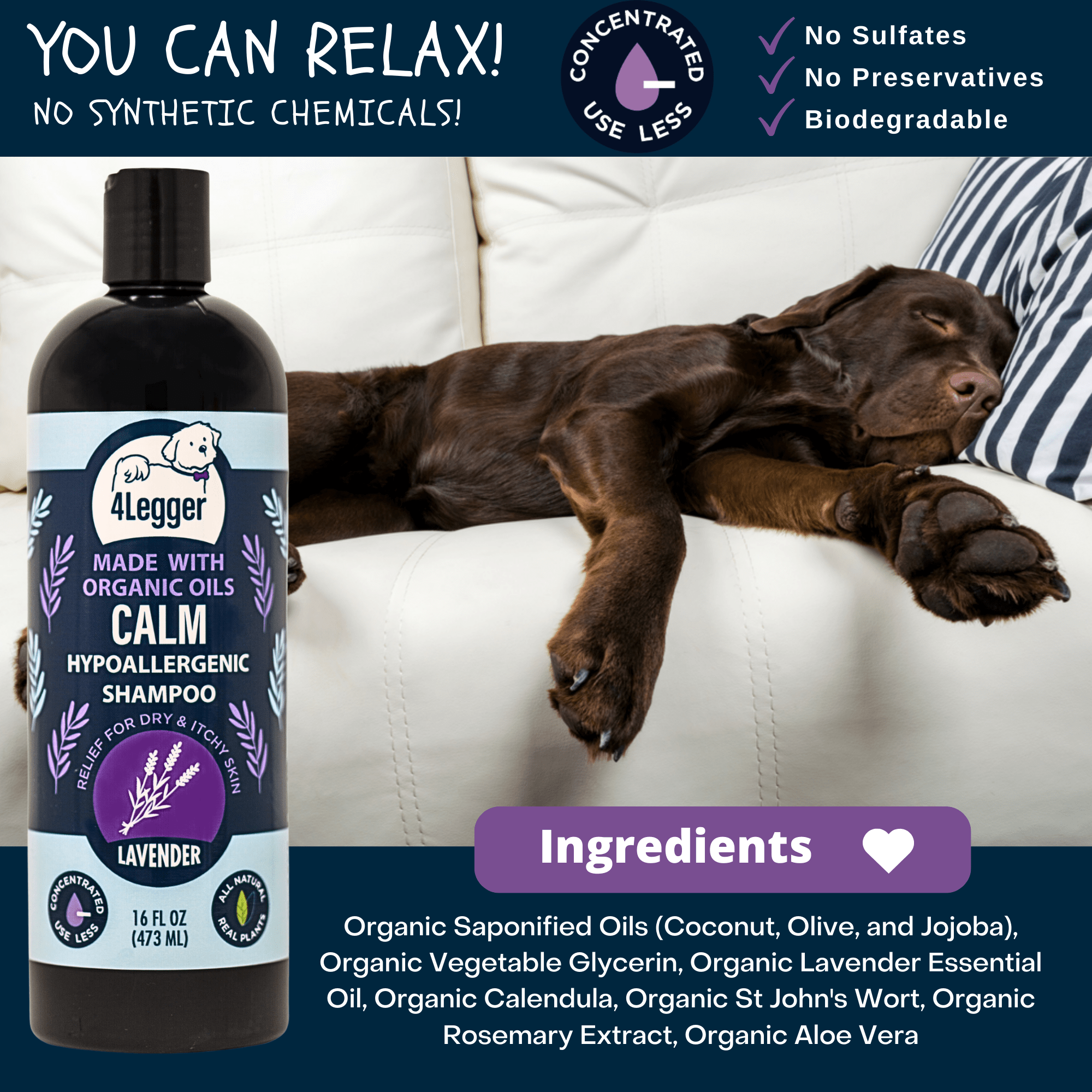 4-Legger - CALM Organic Lavender Natural Dog Shampoo with Calendula: 16 oz bottle