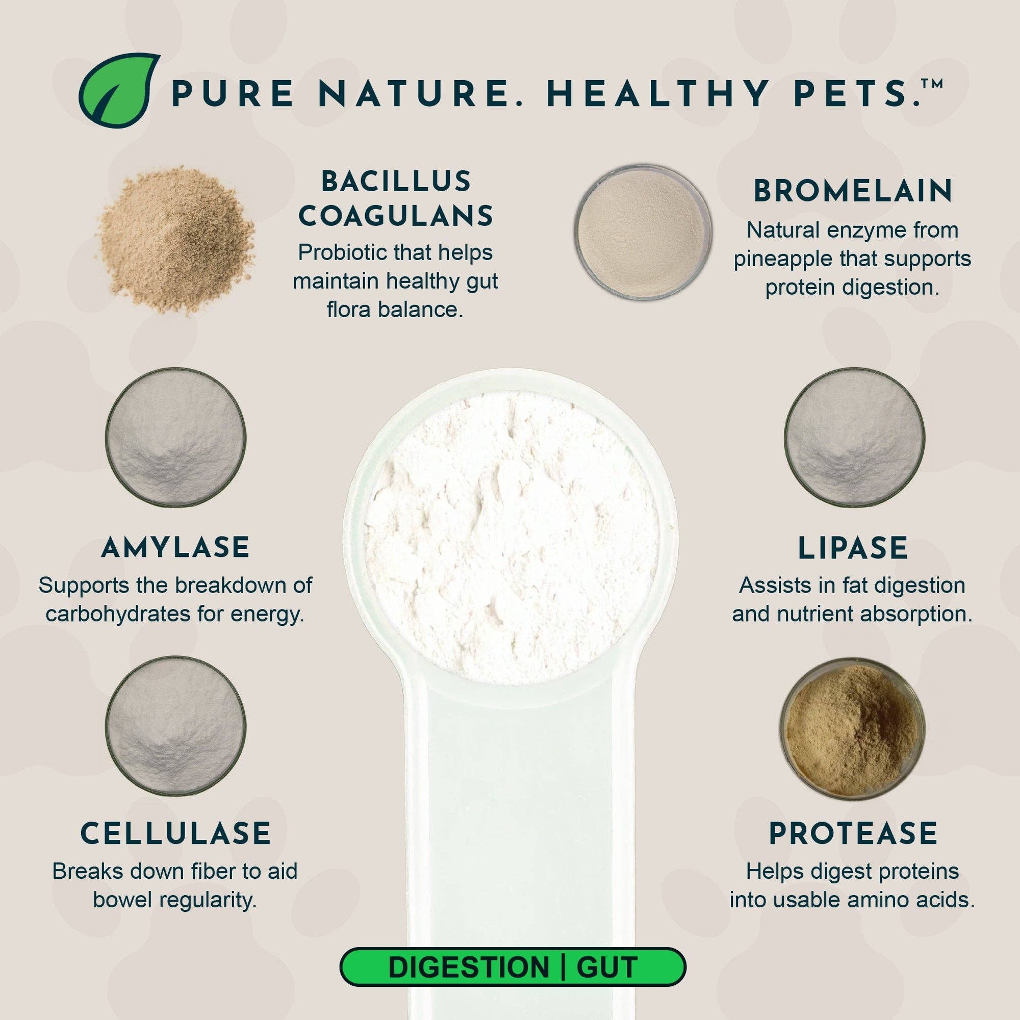 Animal Essentials - Plant Enzyme and Probiotic Powder | Digestive Support: 100g