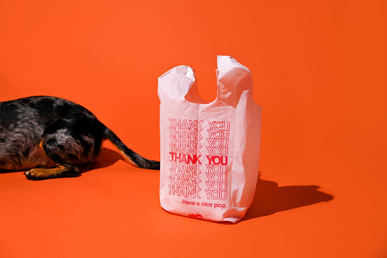 Cool Poo Bags - The Thank You Bag