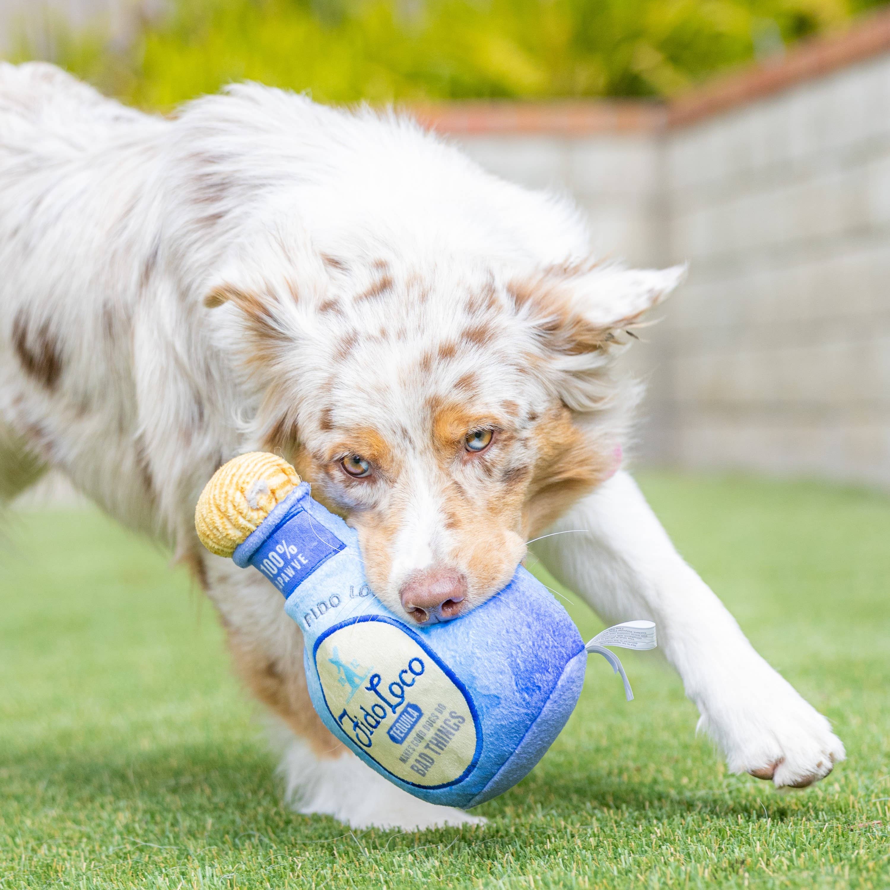Huxley & Kent - Fido Loco Tequila Dog Toy (Large)