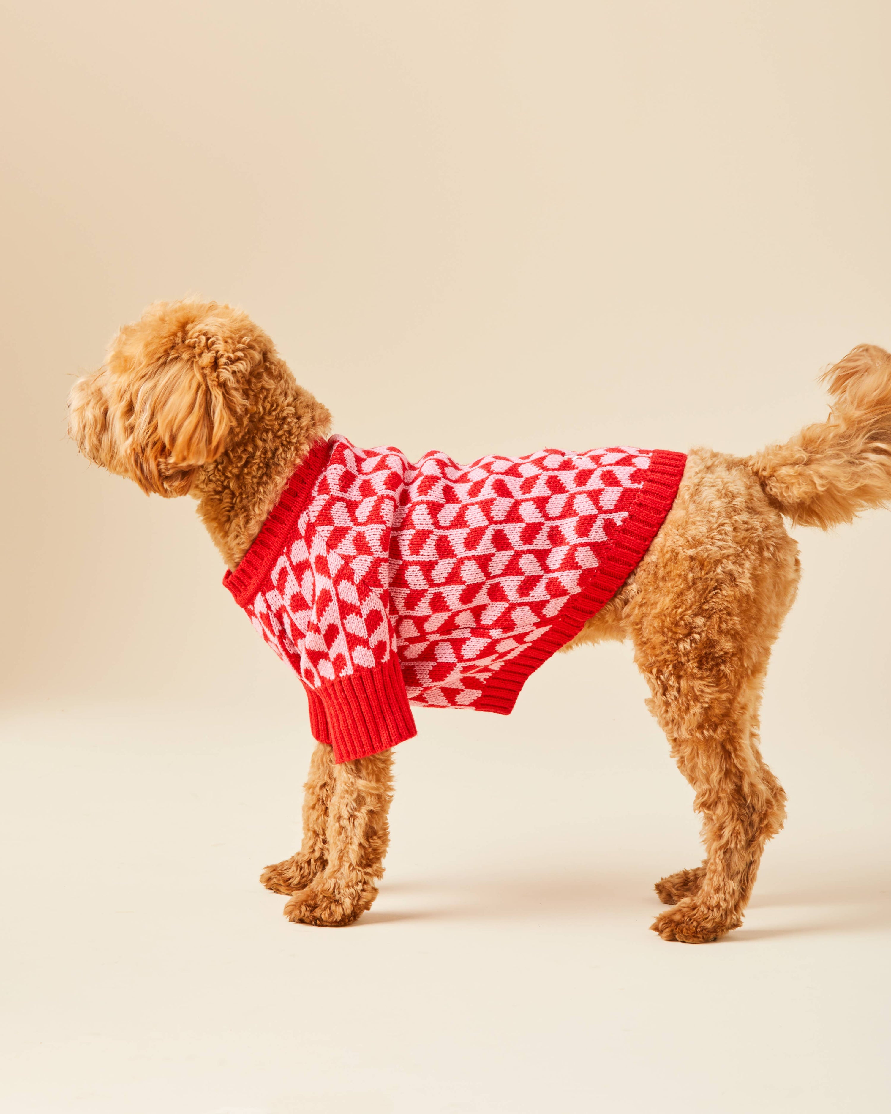 The Foggy Dog - Heart Stripe Valentine's Day Dog Sweater: XS