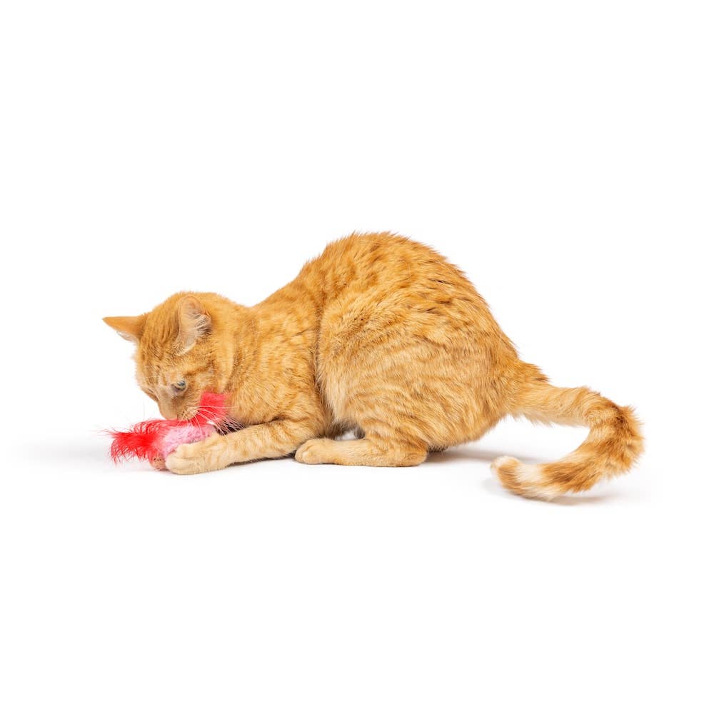 Huxley & Kent - Love Bugs 2pk Cat Toy: One Size