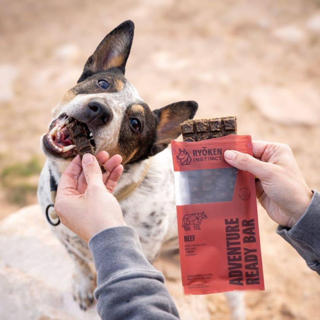 RYŌKEN INSTINCT -  Beef Treat & Snack Bar for Active Dogs - Energy & Recovery