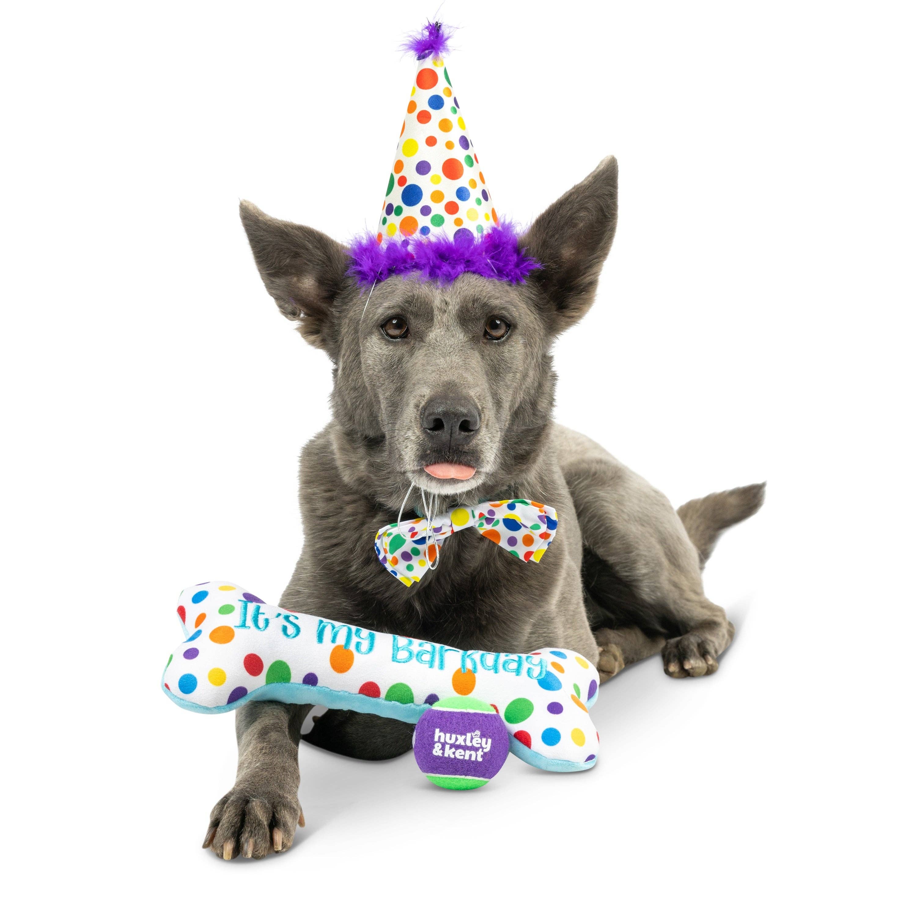 Huxley & Kent - Happy Barkday Celebration Box (Large)