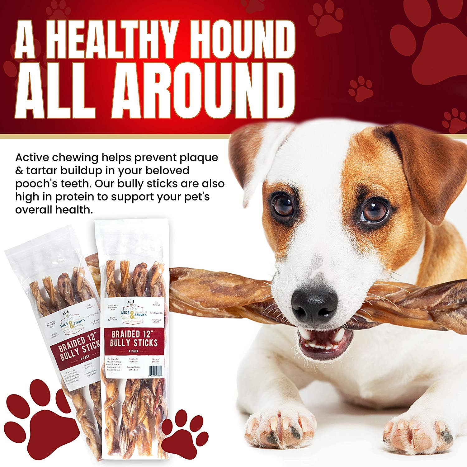 Mika and Sammy's Gourmet Pet Treats - Braided Bully Sticks: 12"