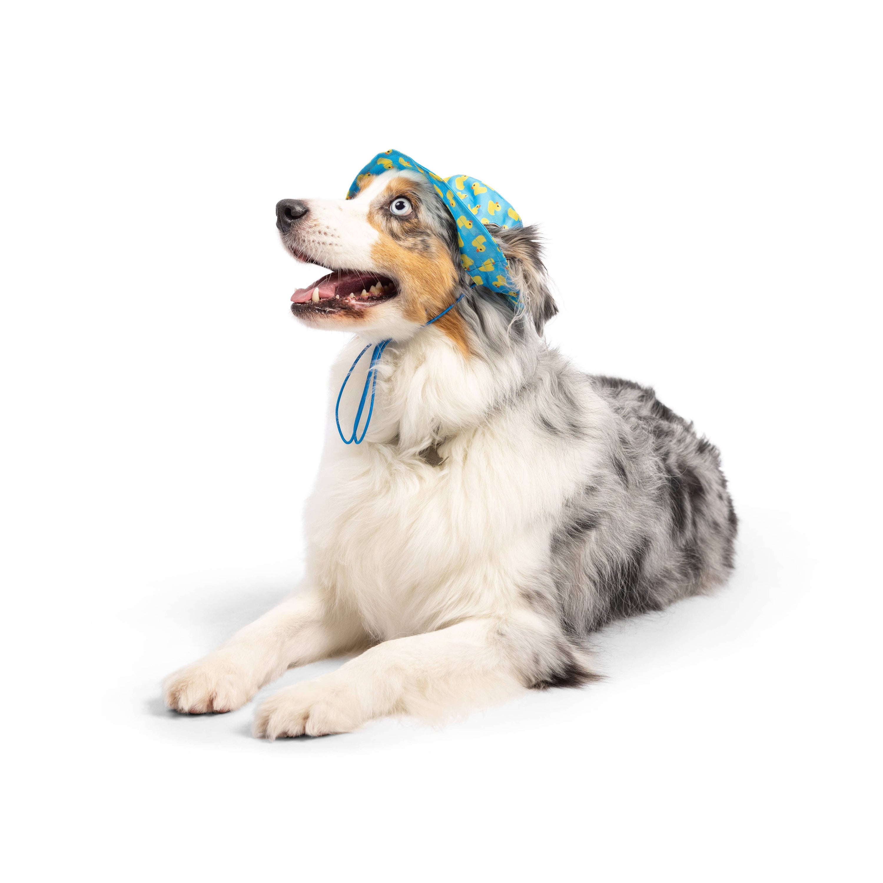 Huxley & Kent - Bucket Hats with SnugFit®: Strawberries (Large)