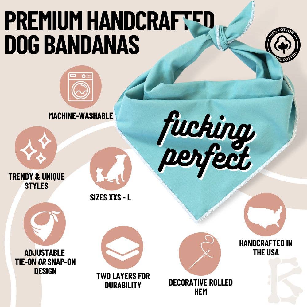 Boneyard Co. - "F*cking Perfect" Funny and Sassy Dog Bandana: Small / Tie-On