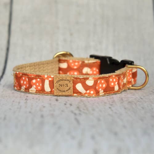 Finnegan’s Standard Goods - 1 inch Creamsicle Mushroom Collar: M (25 -63 lbs)