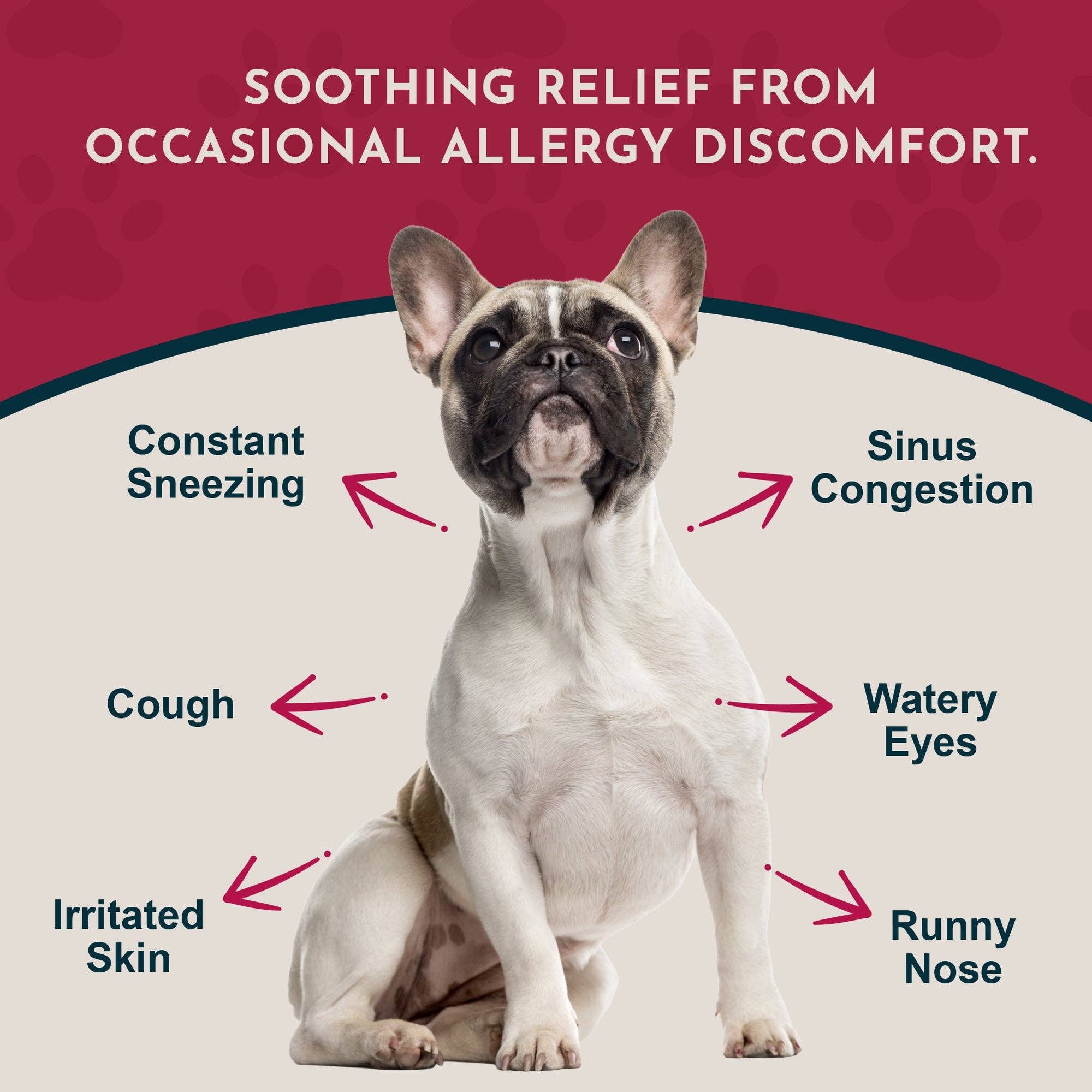 Animal Essentials | Seasonal Allergy Herbal Tonic | Maintains Normal Histamine Levels: 1oz