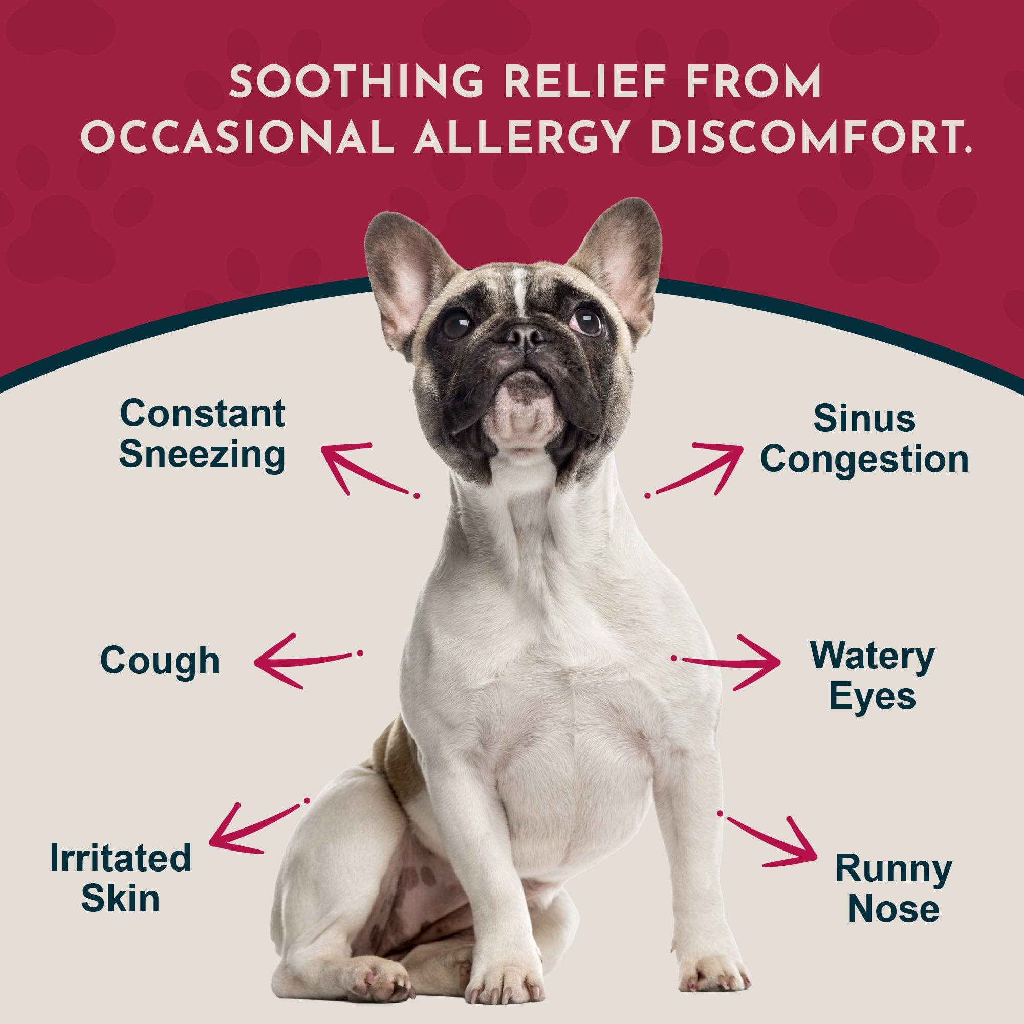 Animal Essentials | Seasonal Allergy Herbal Tonic | Maintains Normal Histamine Levels: 1oz
