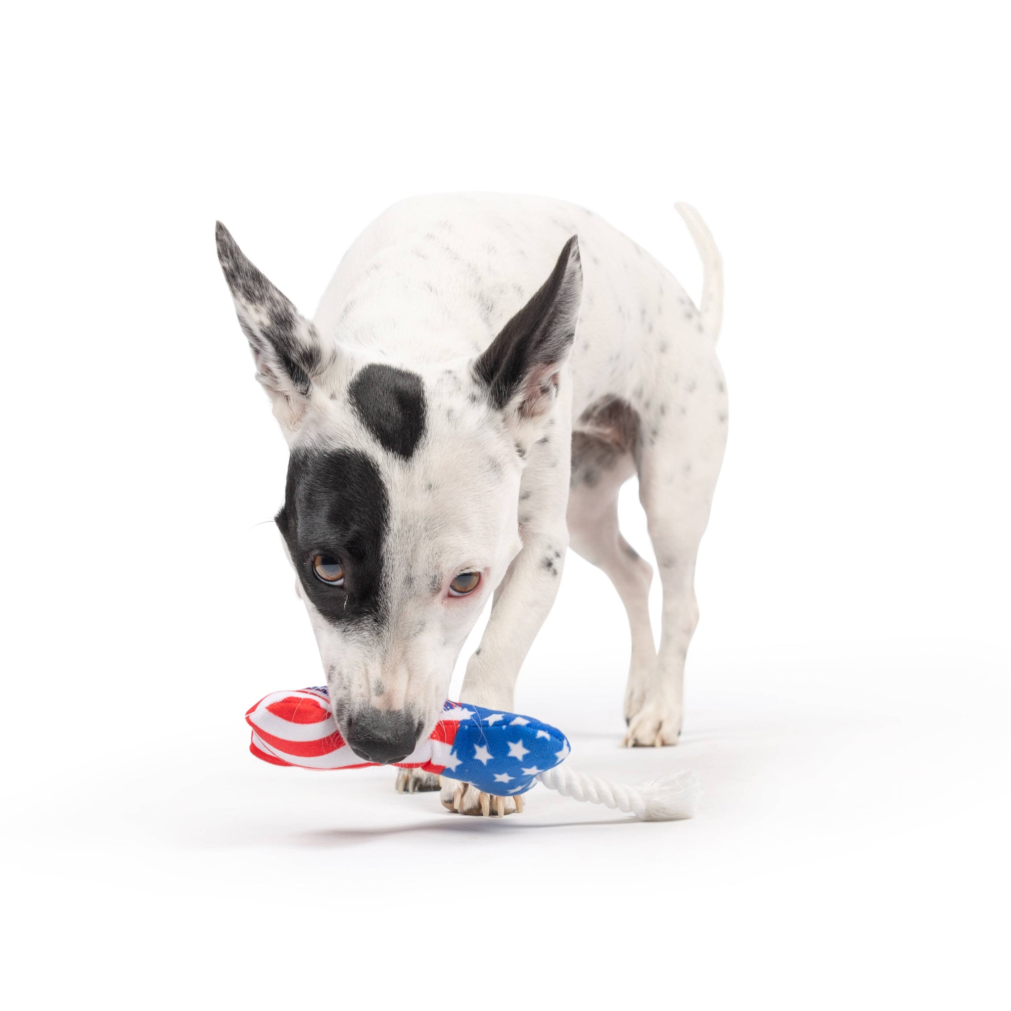 Huxley & Kent - Tiny Tuff Lil' Firecracker Bone