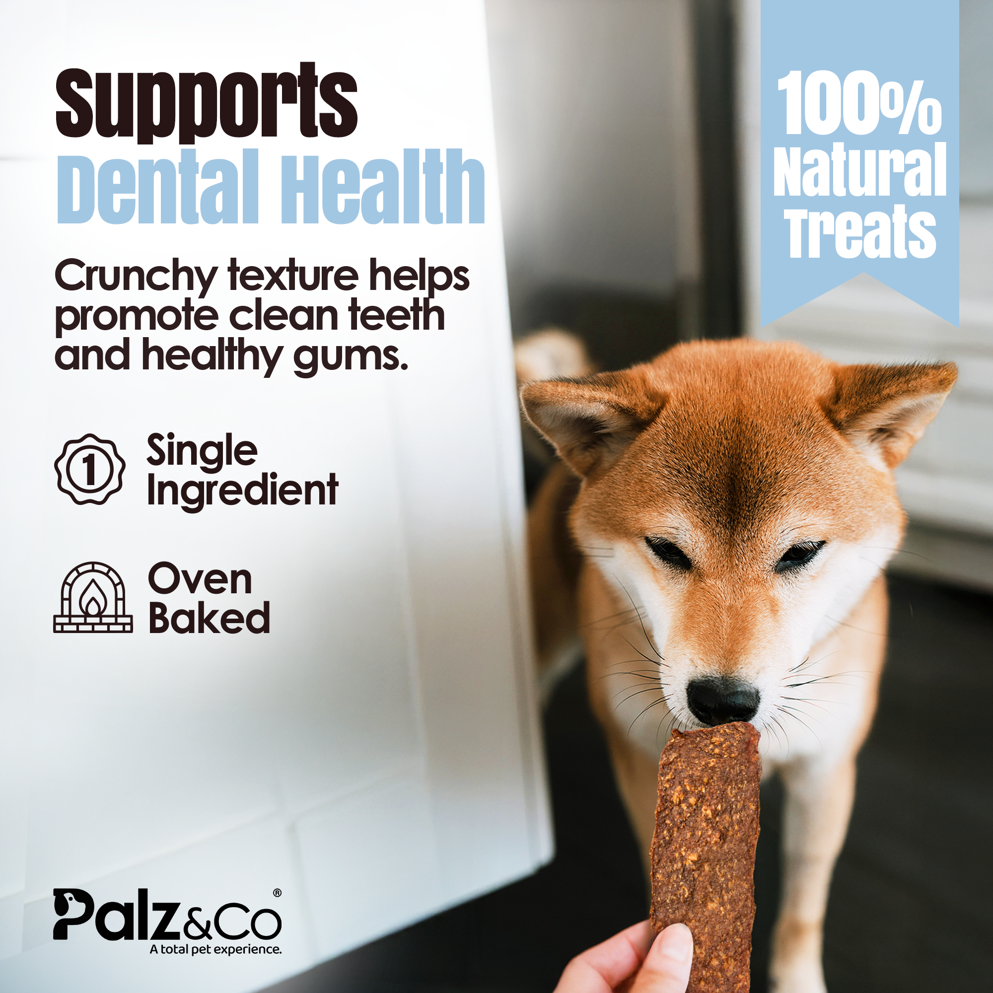 Palz&Co - Lambdog Lamb Jerky (Pack of 10)