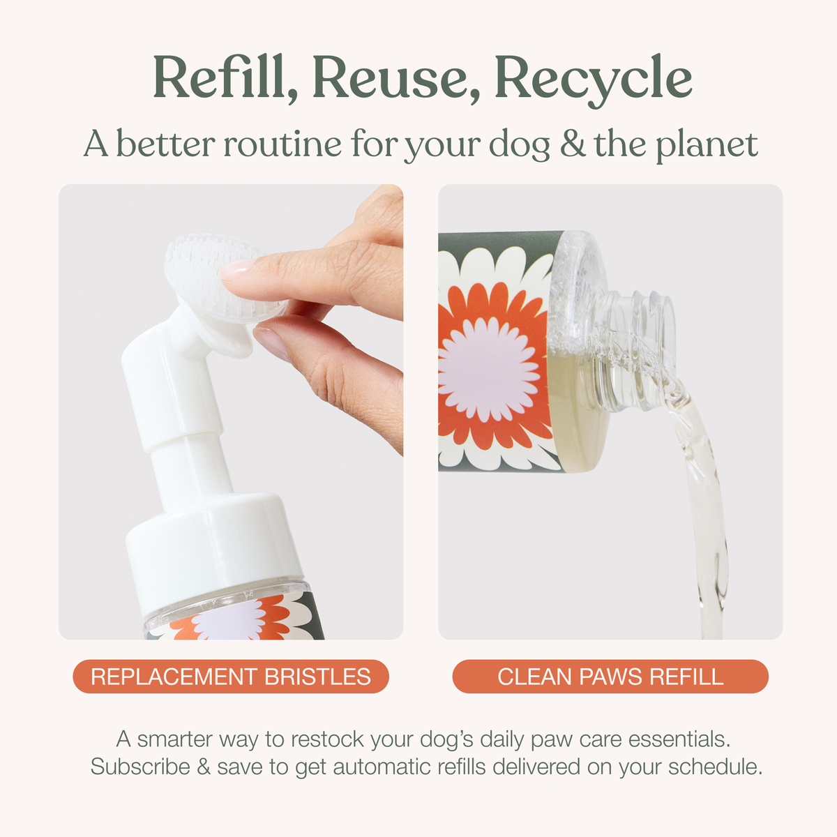 Dandylion | Clean Paws No-Rinse Foaming Cleanser (5 oz)