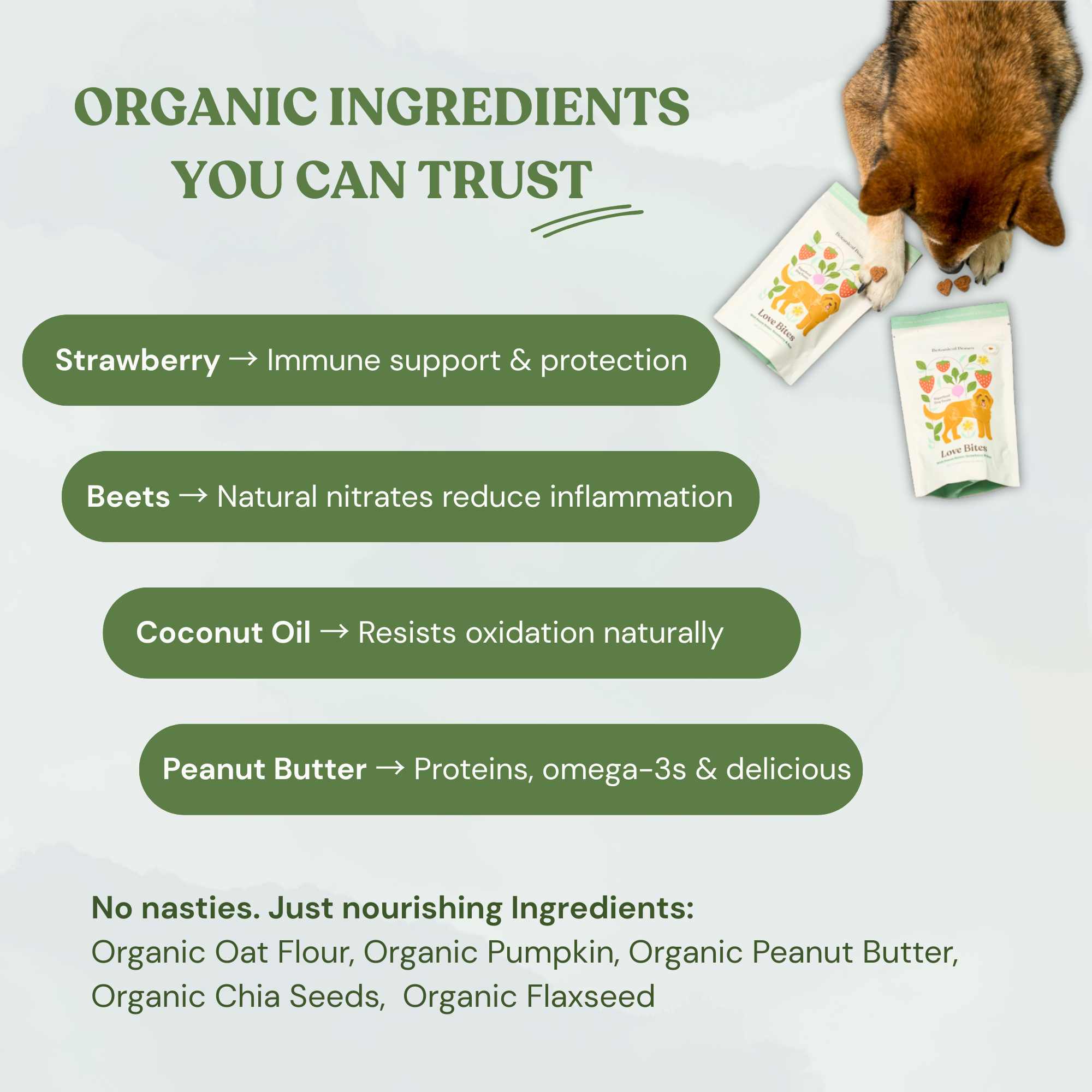 Botanical Bones- Love Bites, Strawberry & Peanut Butter (4oz)