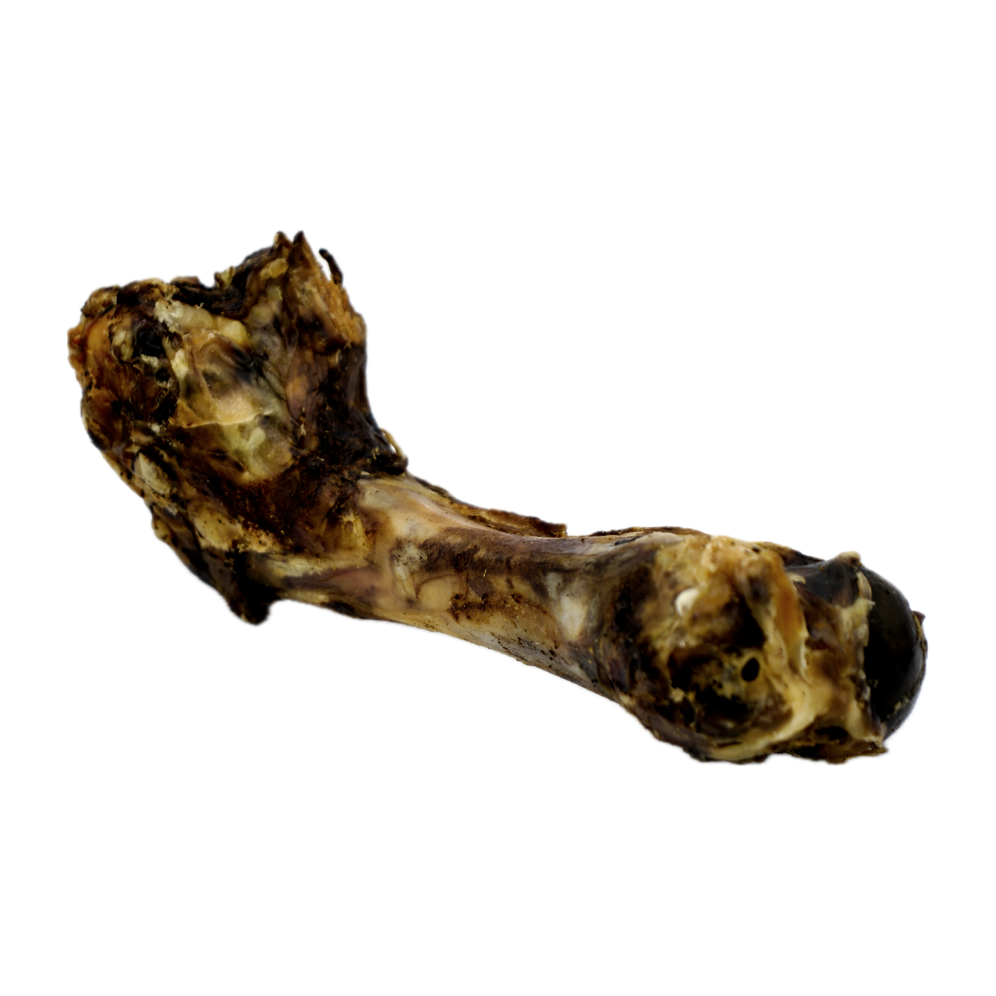 Gaines Family Farmstead- Big Dino Beef Humerus Bone (1ct)