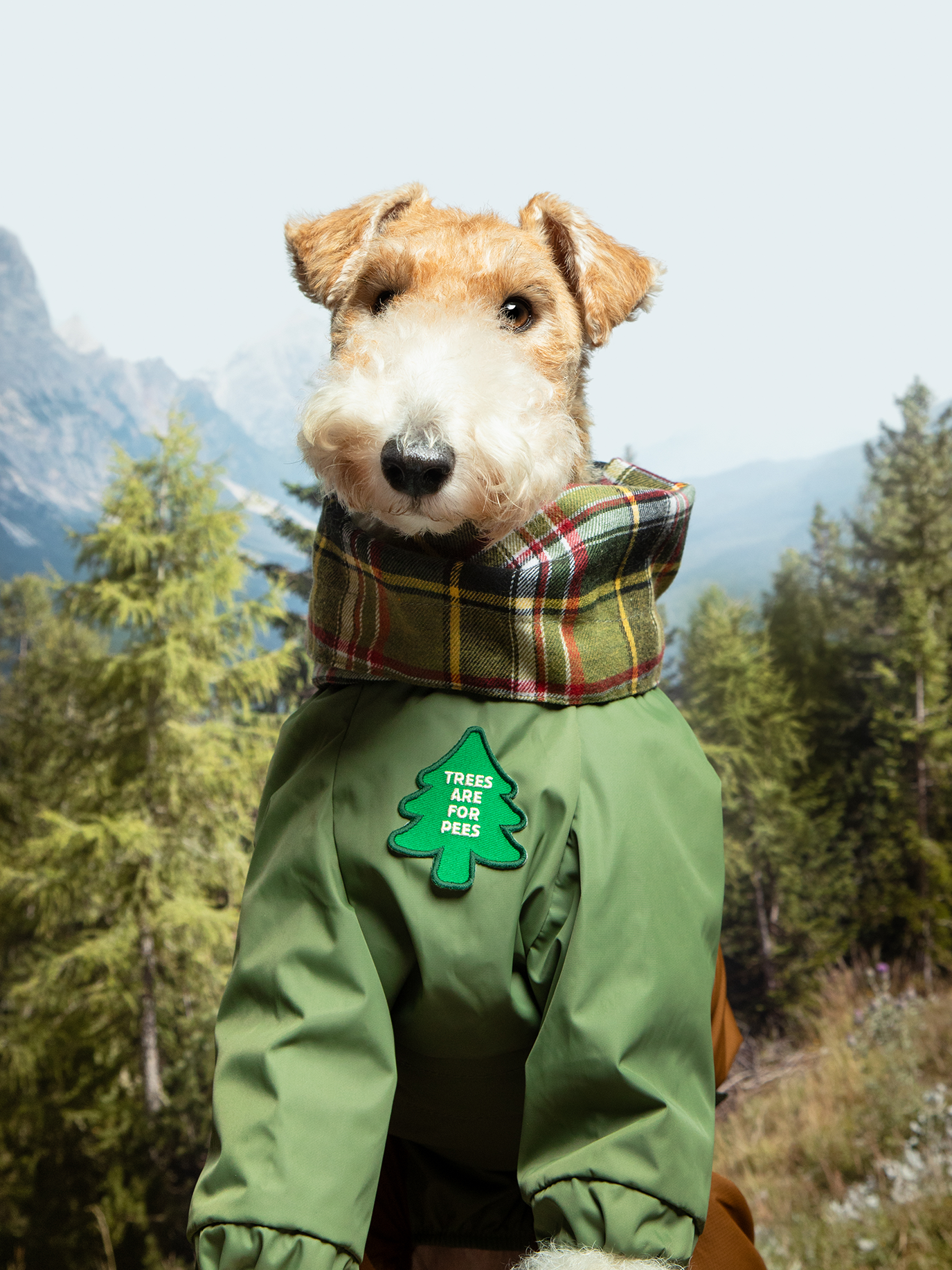 Scout's Honour Pty Ltd - Trees are for Pees iron-on patch for dogs and cats