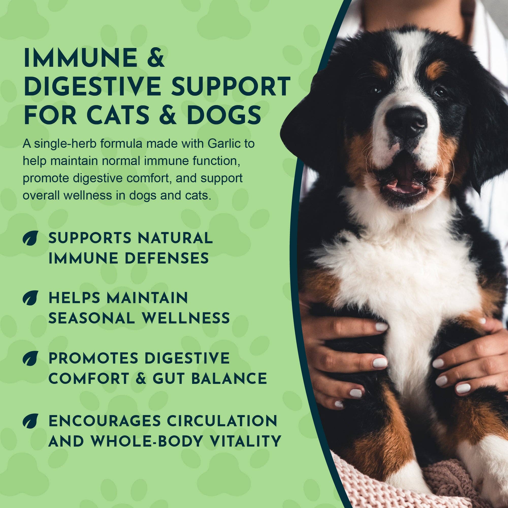 Animal Essentials - Garlic Single Herb Tonic | Antioxidant Protection: 1oz