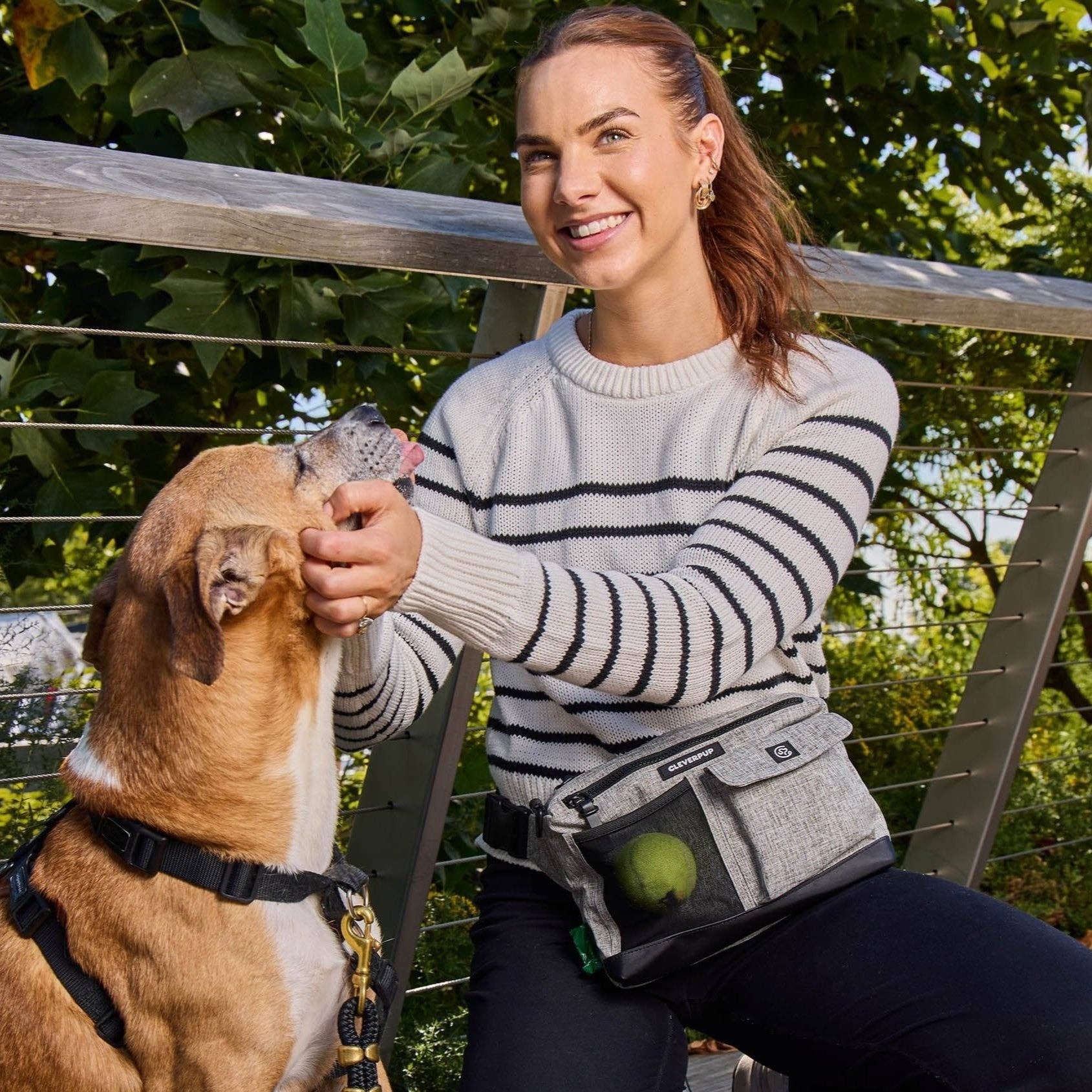 Cleverpup - Dog Walk & Train Sling Bag