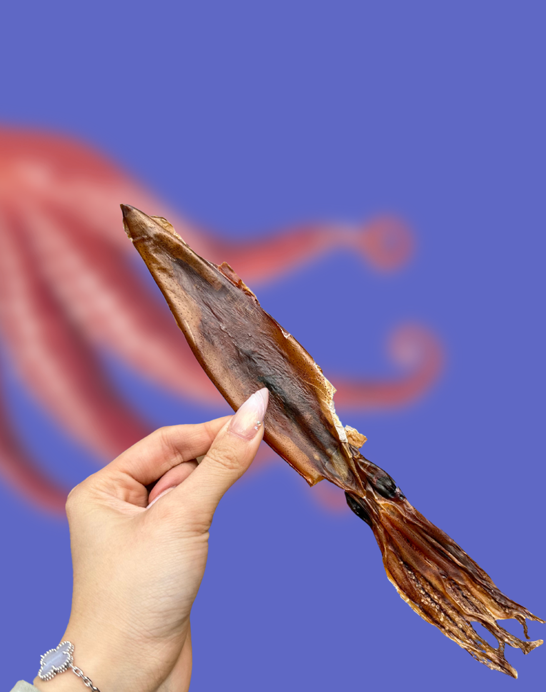 Wulf Snacks - Wild Caught Whole Prey Squid Chips