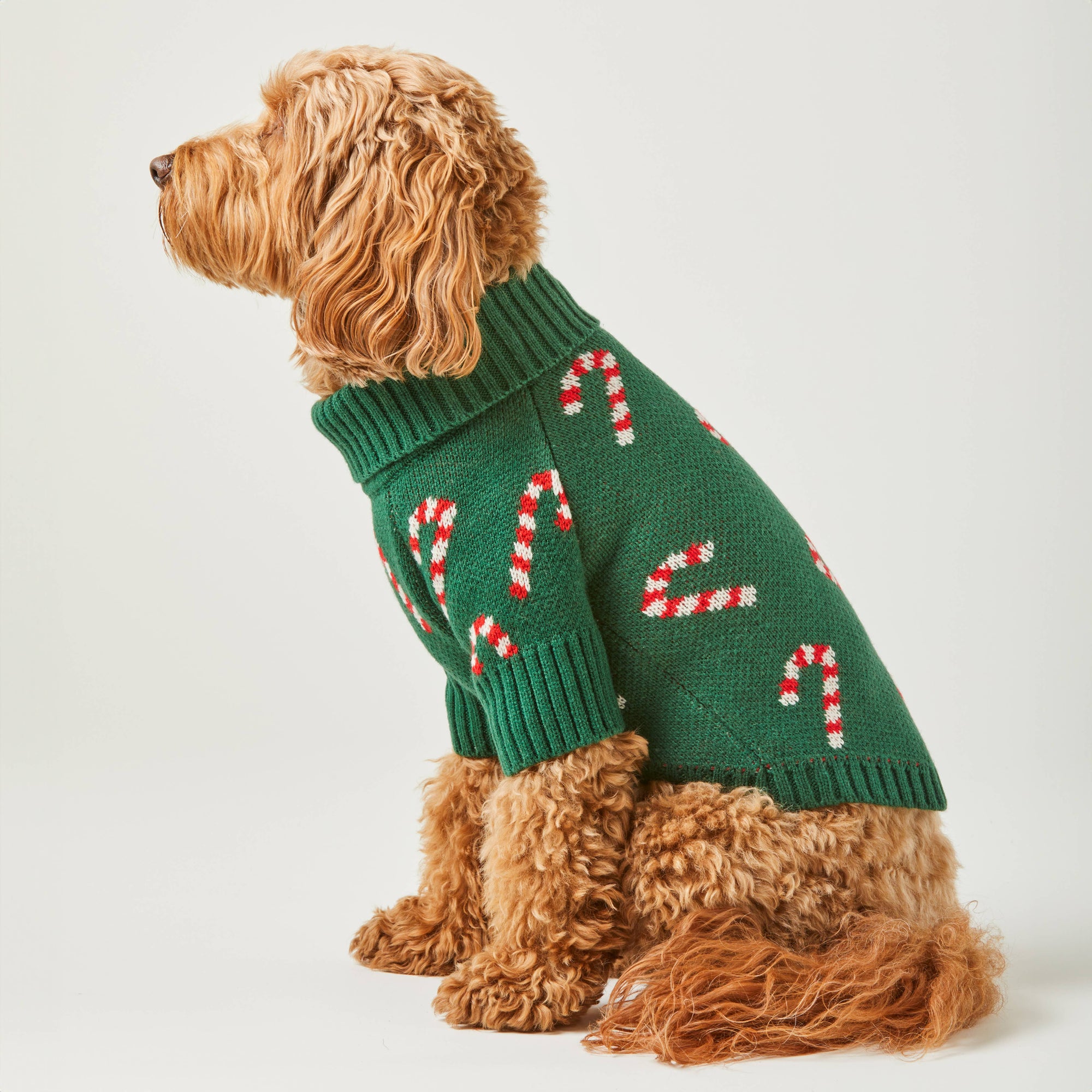 The Foggy Dog - Candy Canes Holiday Dog Sweater: XL
